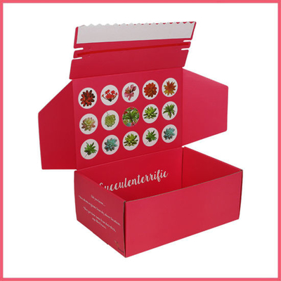 Pantone Color Mailer Caja de envío Gloss Matt Lamination Colored Mailer Boxes