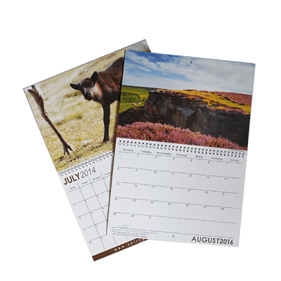 Diverso calendario del papel de arte del tamaño C2S que imprime 128gsm 157gsm 190gsm 210gsm