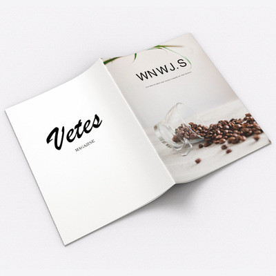 Impresión de revista de catálogo A3 A4 A5 A6 Impresión de libro de revista de tapa blanda personalizada