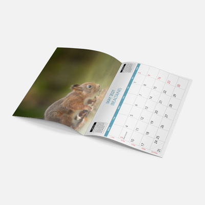 Calendario hecho a medida 2024 Impresión Flip Desk Table